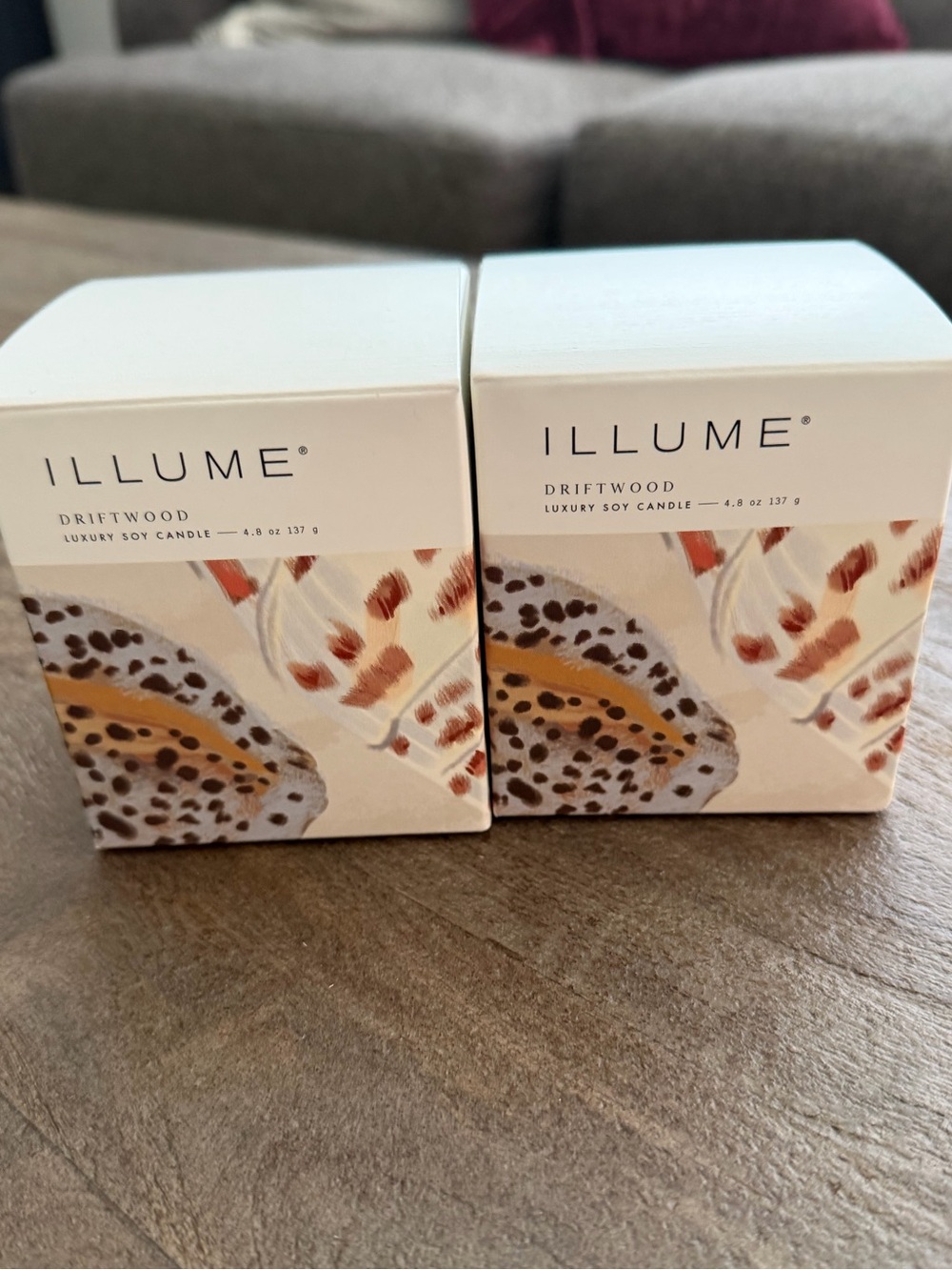 ILLUME Driftwood Baby Boxed Glass 
4.8 Oz Candle Set of 2